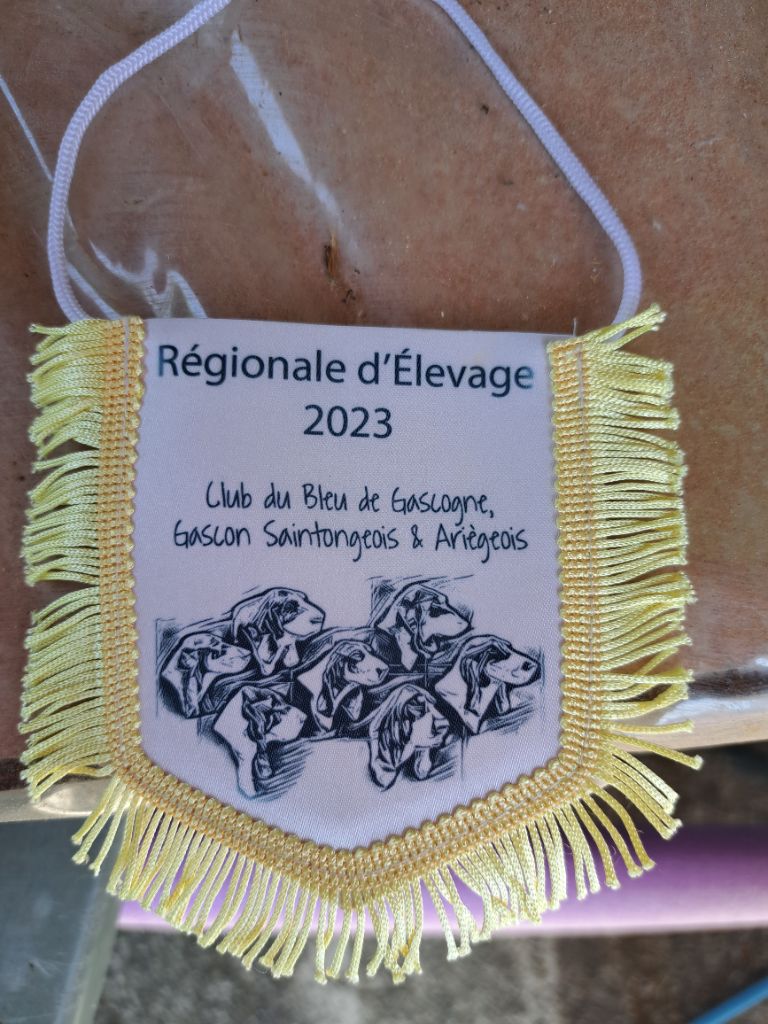 du Clos des Lebratieres - Des places d'honneur en Régionale d'Elevage