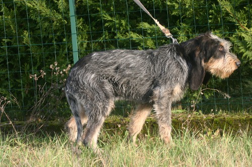 Furio du Clos des Lebratieres