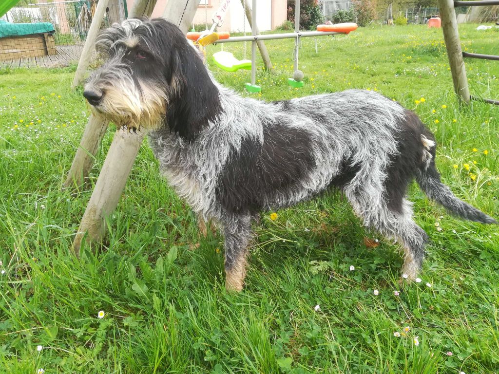 Saga du Clos des Lebratieres